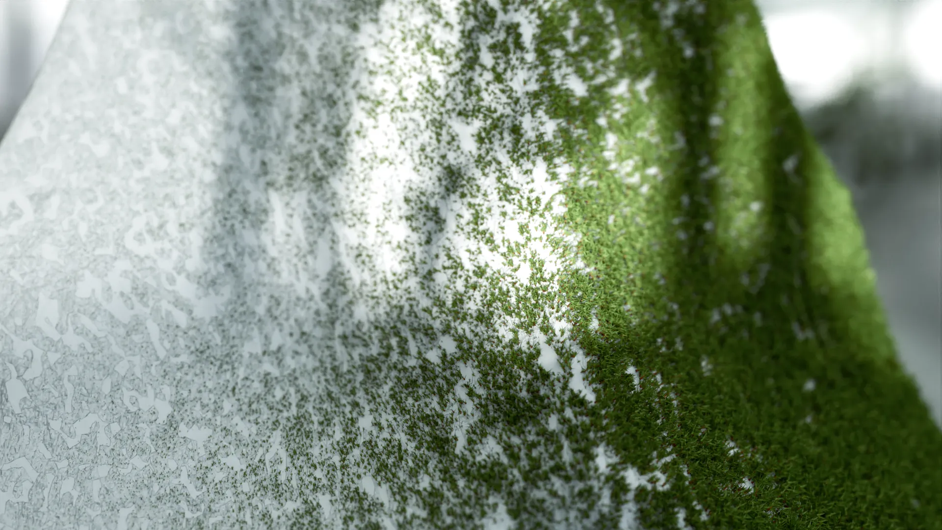 Digital Biotopia Environment 3